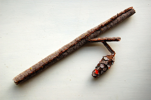 branch.jpg