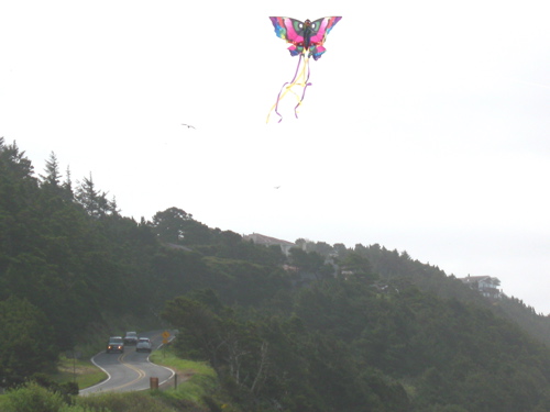 butterflykite.jpg