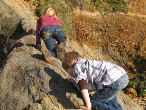 oswaldmmclimb.jpg