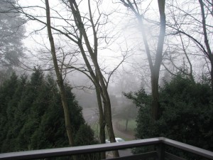 foggymorningfromdeck