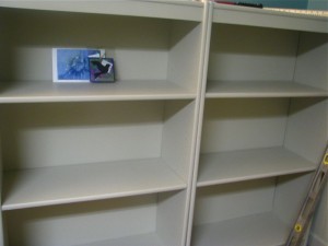 paintedshelves