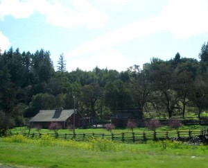 ruralsonoma