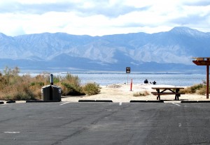 saltonsea