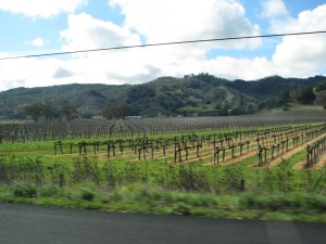 sonomavineyards