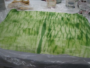 applegreenshibori