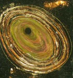 warmcolorsblackhole warmcolorsblackhole