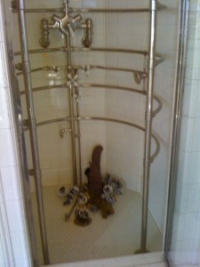 amaziingshower