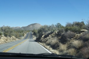 roadtopalmdesert