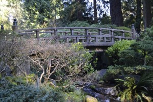 japanesegardenbridge