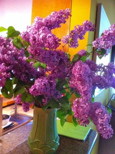 lilacs