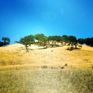 Californialandscape