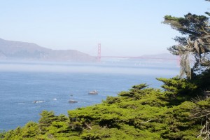 goldengatebridgelandens