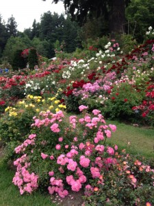 rosegarden3