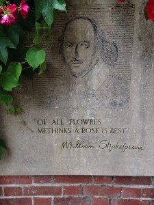 shakespearerosequote