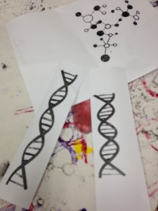 DNA Strands