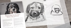 drawadog