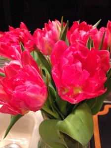 tulips