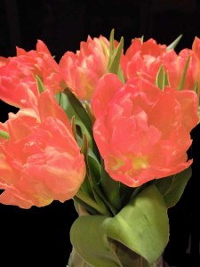tulipsphotoaltered